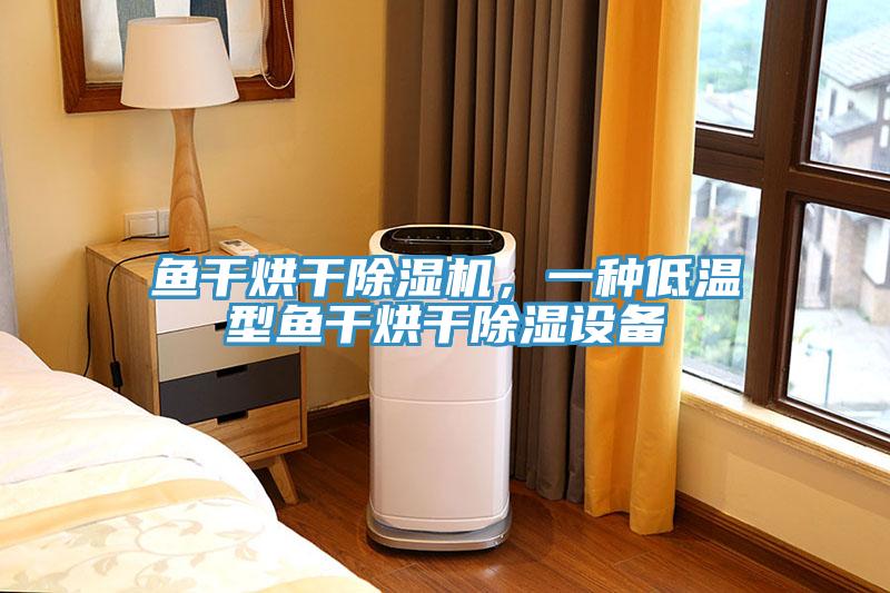 魚幹烘幹91看片网站，一種低溫型魚幹烘幹除濕設備