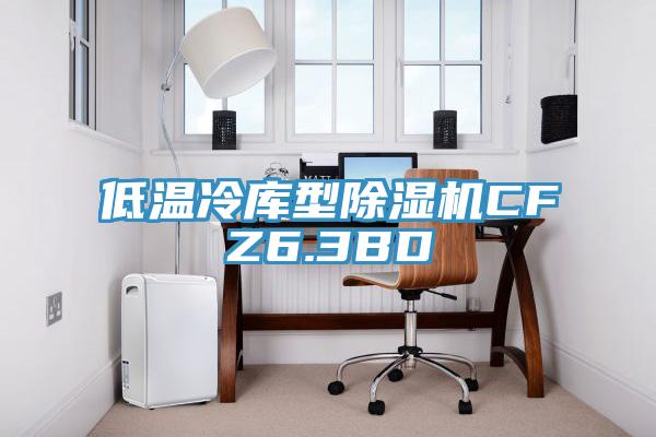 低溫冷庫型91看片网站CFZ6.3BD