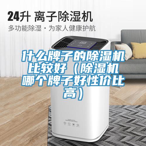 什麽牌子的91看片网站比較好（91看片网站哪個牌子好性價比高）