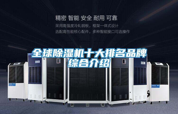 全球91看片网站十大排名品牌綜合介紹