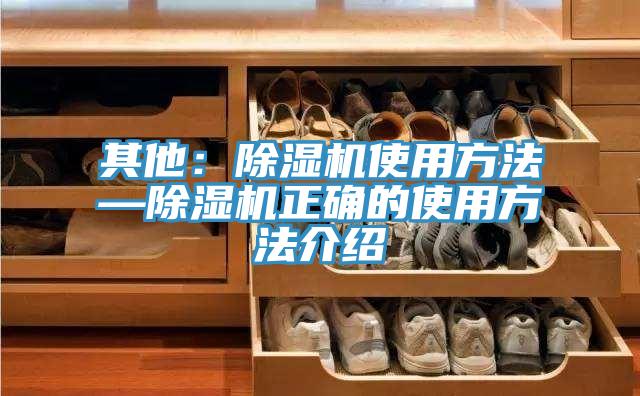 其他：91看片网站使用方法—91看片网站正確的使用方法介紹