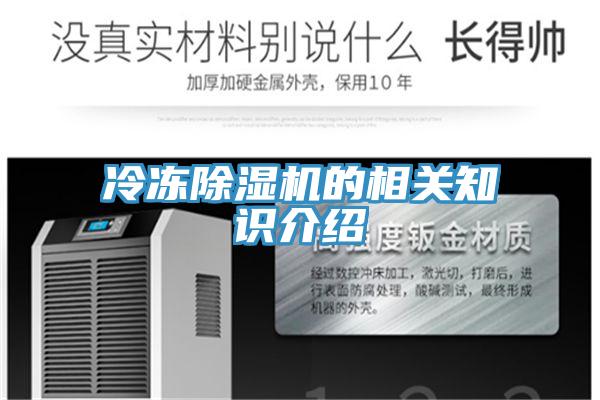 冷凍91看片网站的相關知識介紹