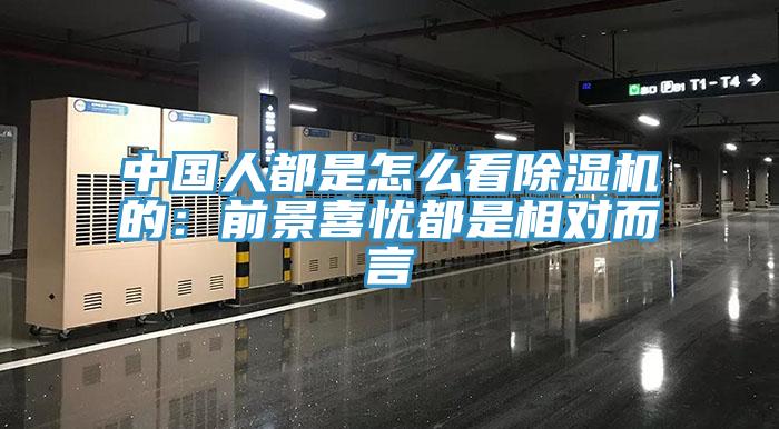 中國人都是怎麽看91看片网站的：前景喜憂都是相對而言