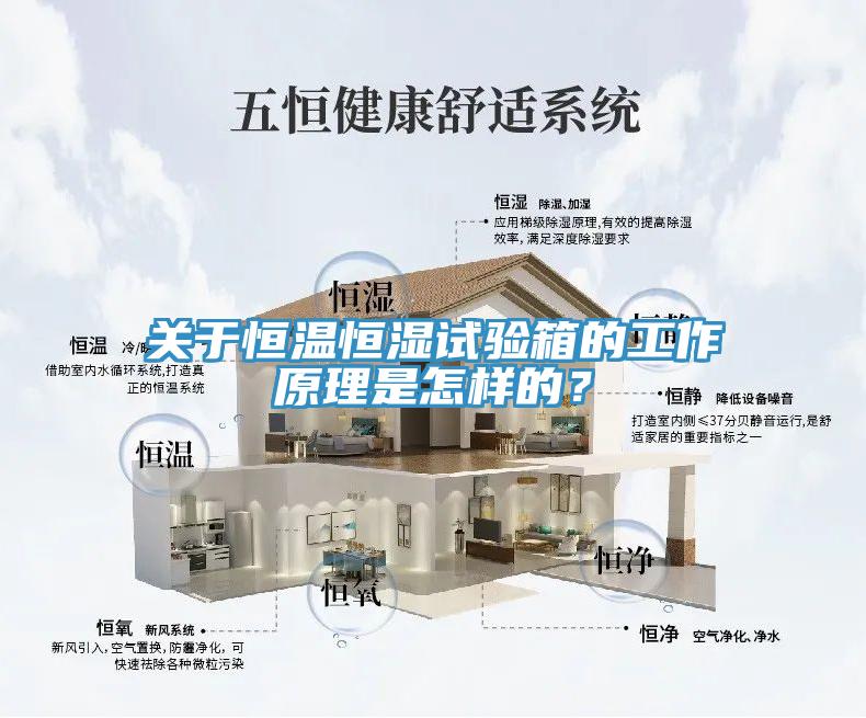 關於恒溫恒濕試驗箱的工作原理是怎樣的？