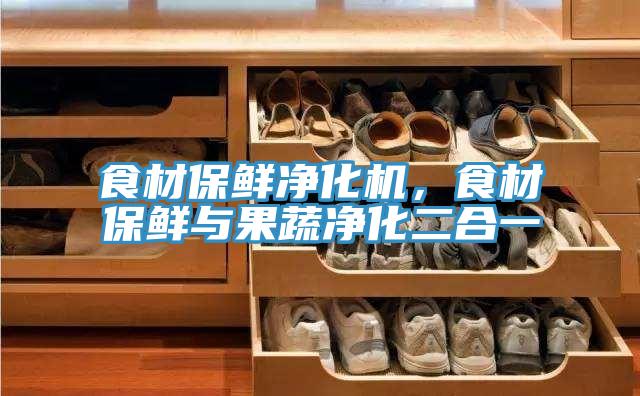 食材保鮮淨化機，食材保鮮與果蔬淨化二合一