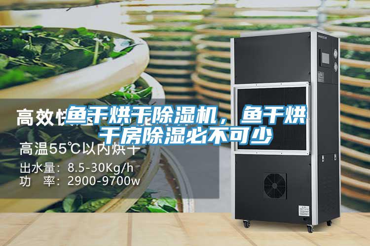 魚幹烘幹91看片网站，魚幹烘幹房除濕必不可少