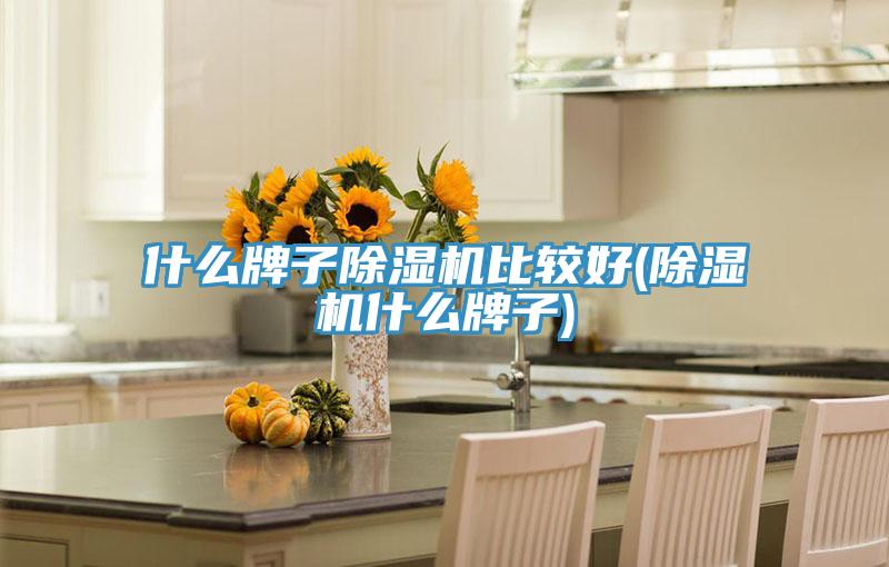 什麽牌子91看片网站比較好(91看片网站什麽牌子)