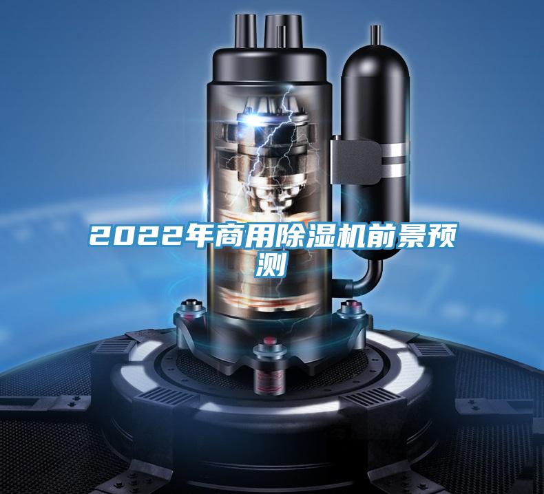 2022年商用91看片网站前景預測