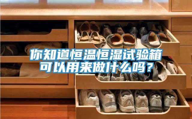 你知道恒溫恒濕試驗箱可以用來做什麽嗎？