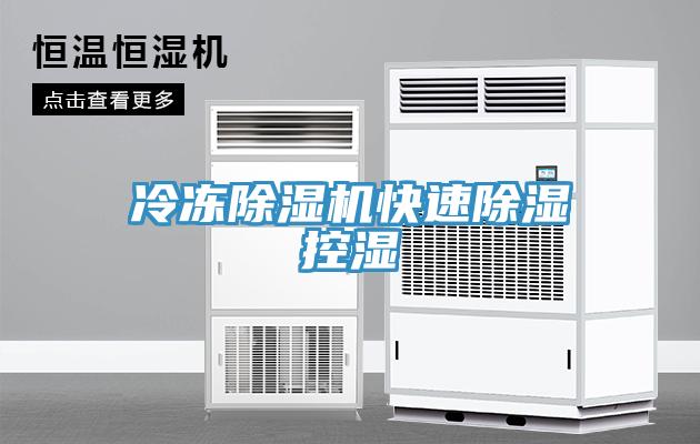 冷凍91看片网站快速除濕控濕