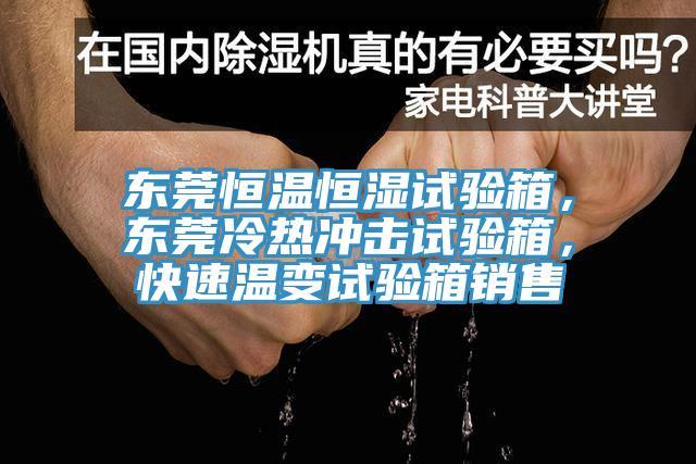 東莞恒溫恒濕試驗箱，東莞冷熱衝擊試驗箱，快速溫變試驗箱銷售