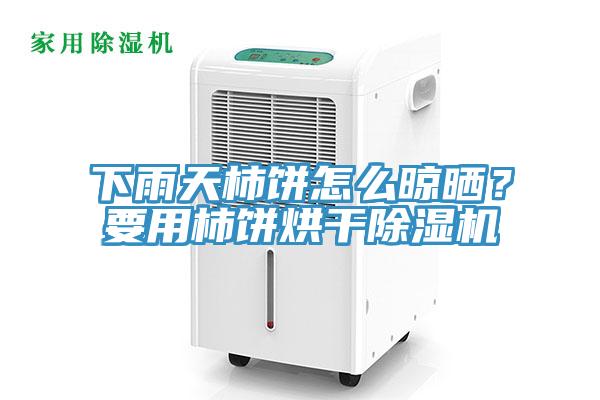 下雨天柿餅怎麽晾曬？要用柿餅烘幹91看片网站