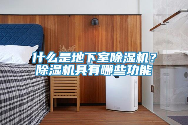什麽是地下室91看片网站？91看片网站具有哪些功能