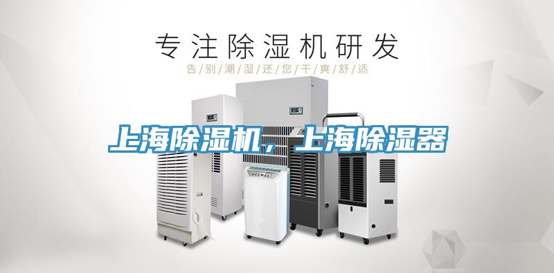 上海91看片网站，上海除濕器