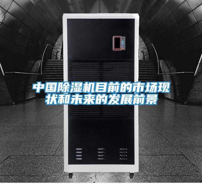 中國91看片网站目前的市場現狀和未來的發展前景