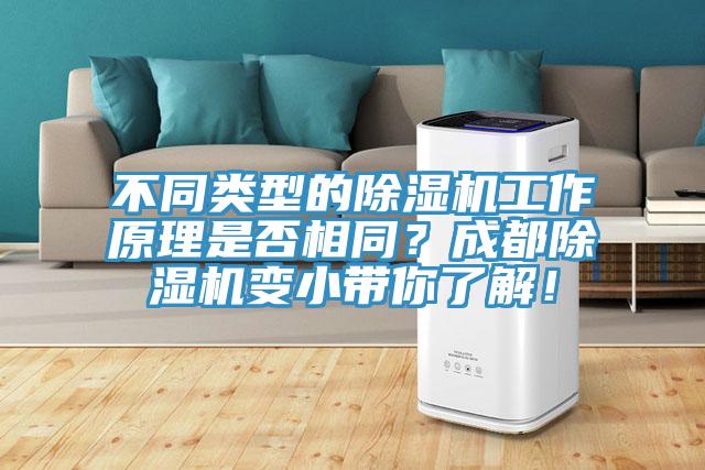 不同類型的91看片网站工作原理是否相同？成都91看片网站變小帶你了解！