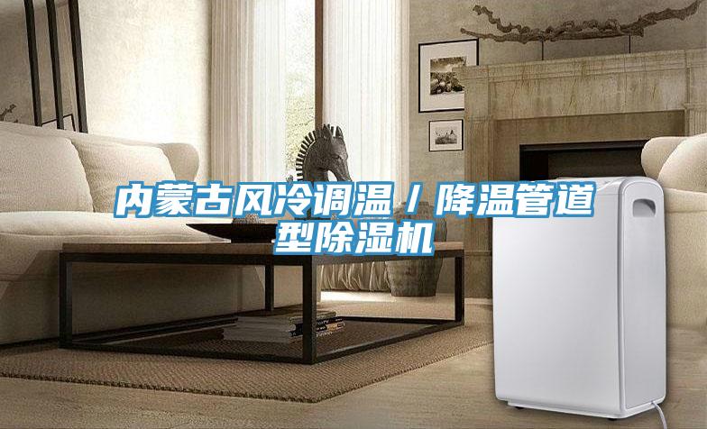 內蒙古風冷調溫／降溫管道型91看片网站