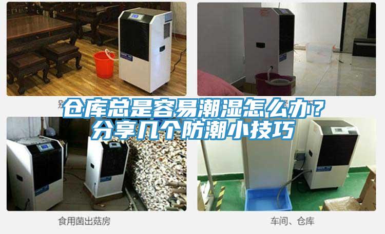 倉庫總是容易潮濕怎麽辦？分享幾個防潮小技巧