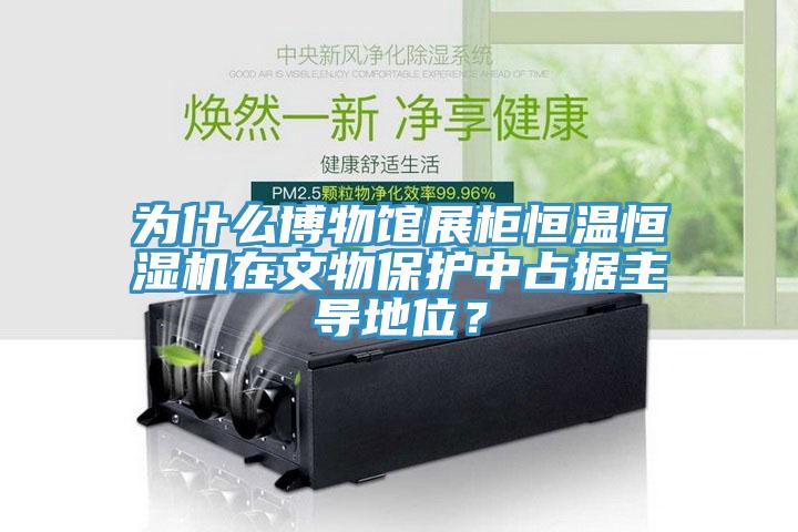 為什麽博物館展櫃恒溫恒濕機在文物保護中占據主導地位？