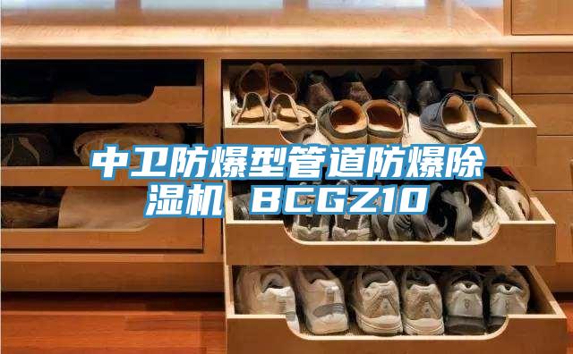 中衛防爆型管道防爆91看片网站 BCGZ10