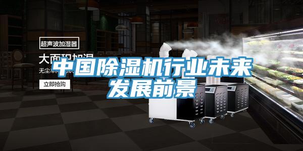 中國91看片网站行業未來發展前景
