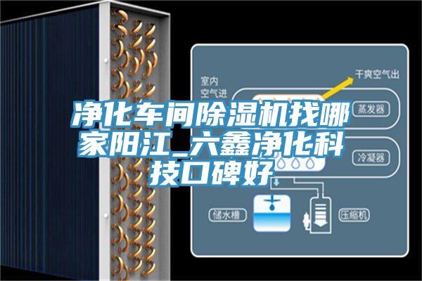 淨化車間91看片网站找哪家陽江_六鑫淨化科技口碑好