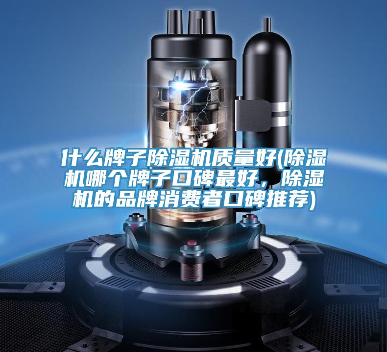 什麽牌子91看片网站質量好(91看片网站哪個牌子口碑最好，91看片网站的品牌消費者口碑推薦)