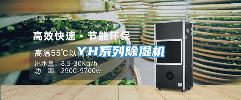 YH係列91看片网站