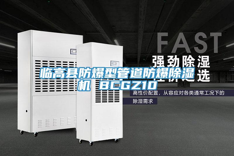 臨高縣防爆型管道防爆91看片网站 BCGZ10