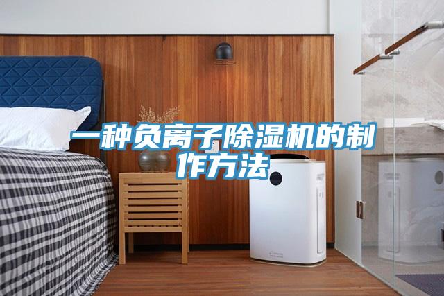 一種負離子91看片网站的製作方法