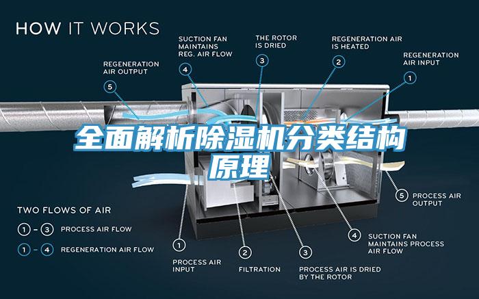全麵解析91看片网站分類結構原理