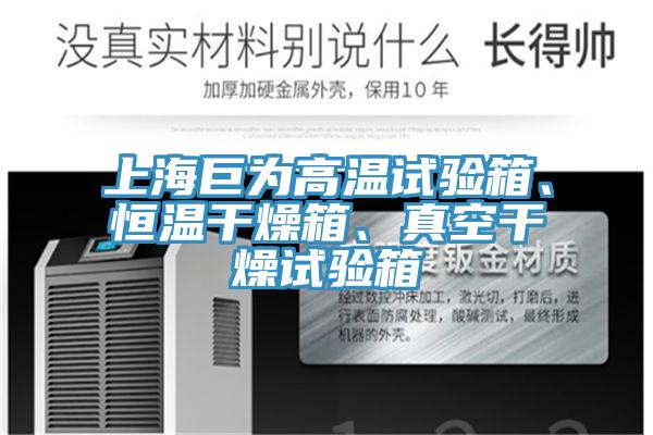 上海巨為高溫試驗箱、恒溫幹燥箱、真空幹燥試驗箱