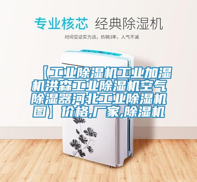 【工業91看片网站工業加濕機洪森工業91看片网站空氣除濕器河北工業91看片网站圖】價格,廠家,91看片网站