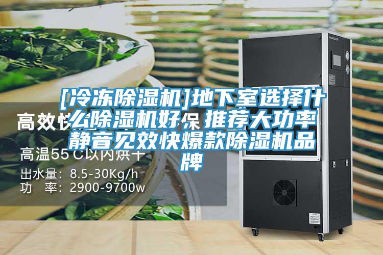 [冷凍91看片网站]地下室選擇什麽91看片网站好，推薦大功率靜音見效快爆款91看片网站品牌