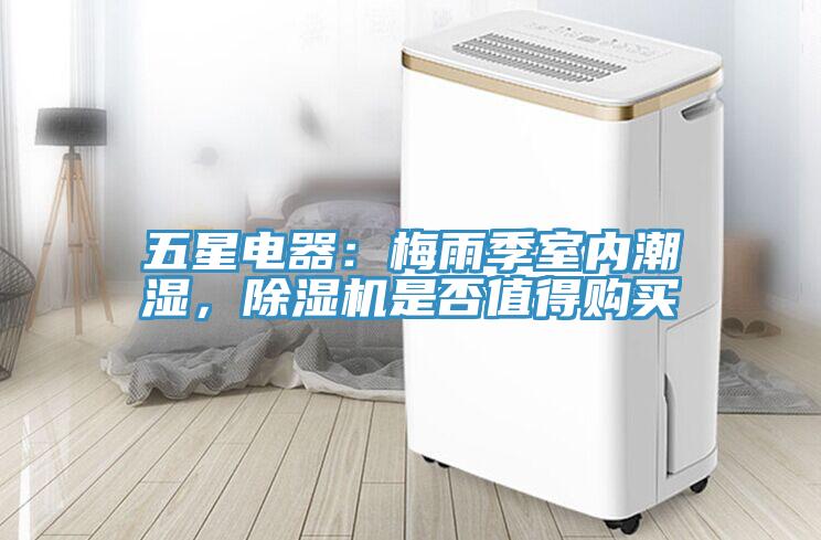 五星電器：梅雨季室內潮濕，91看片网站是否值得購買