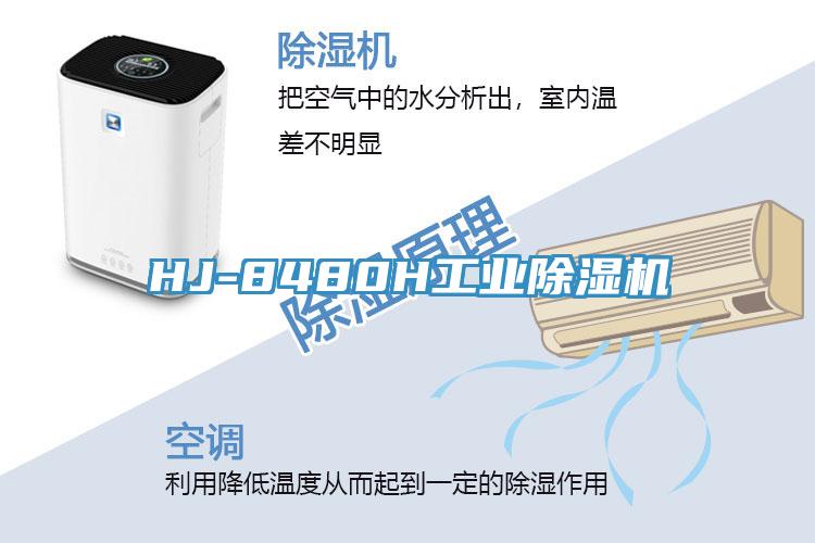 HJ-8480H工業91看片网站