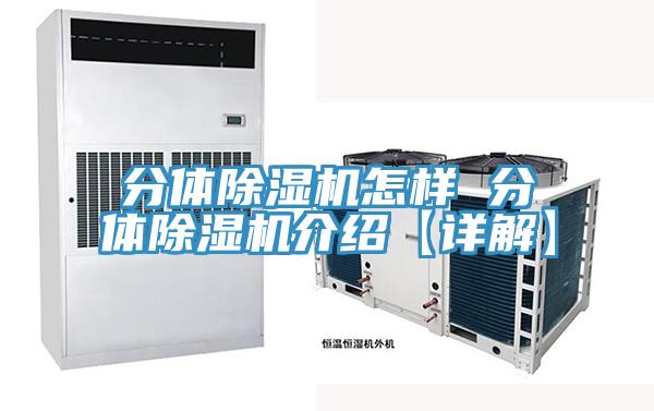 分體91看片网站怎樣 分體91看片网站介紹【詳解】