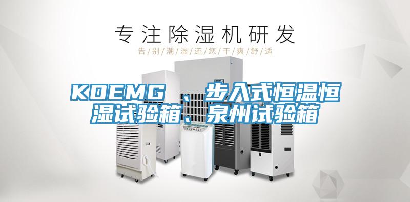 KOEMG 、步入式恒溫恒濕試驗箱、泉州試驗箱