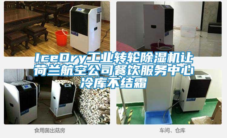 IceDry工業轉輪91看片网站讓荷蘭航空公司餐飲服務中心冷庫不結霜