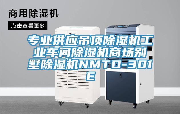 專業供應吊頂91看片网站工業車間91看片网站商場別墅91看片网站NMTD-301E