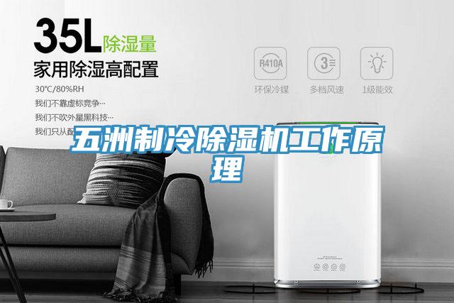 五洲製冷91看片网站工作原理