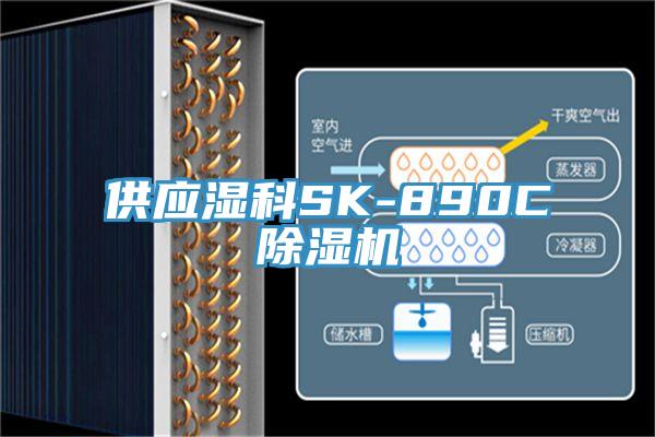 供應濕科SK-890C91看片网站