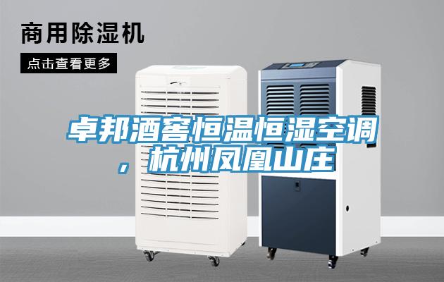 卓邦酒窖恒溫恒濕空調，杭州鳳凰山莊