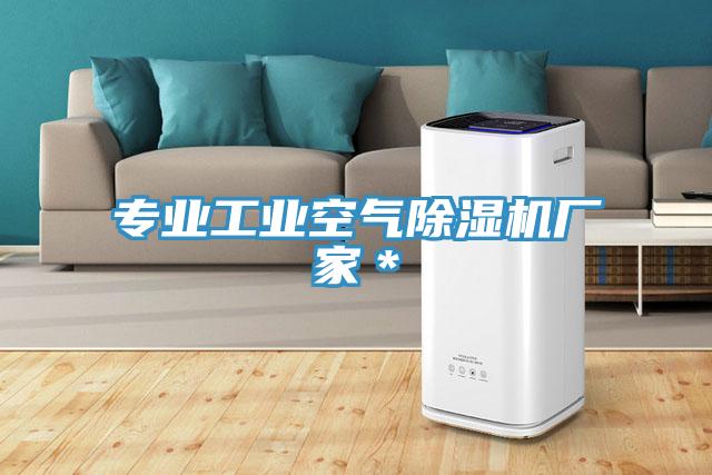 專業工業空氣91看片网站廠家＊