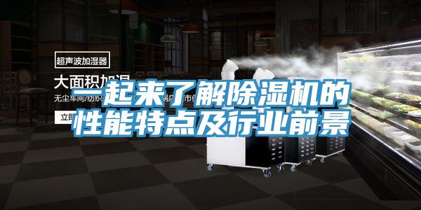 一起來了解91看片网站的性能特點及行業前景