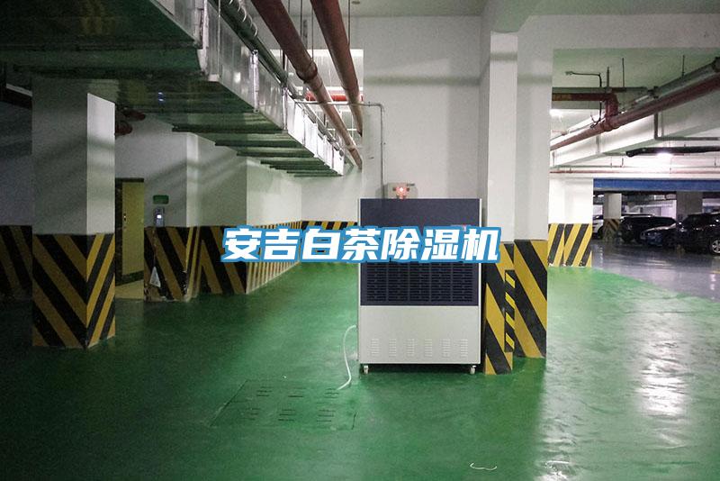 安吉白茶91看片网站