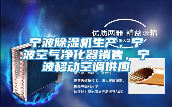 寧波91看片网站生產，寧波空氣淨化器銷售，寧波移動空調供應