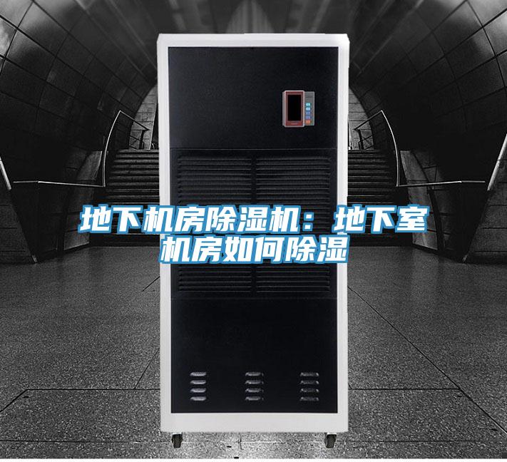 地下機房91看片网站：地下室機房如何除濕