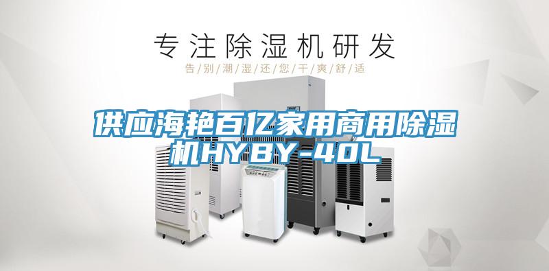 供應海豔百億家用商用91看片网站HYBY-40L