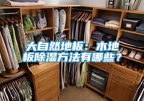 大自然地板：木地板除濕方法有哪些？